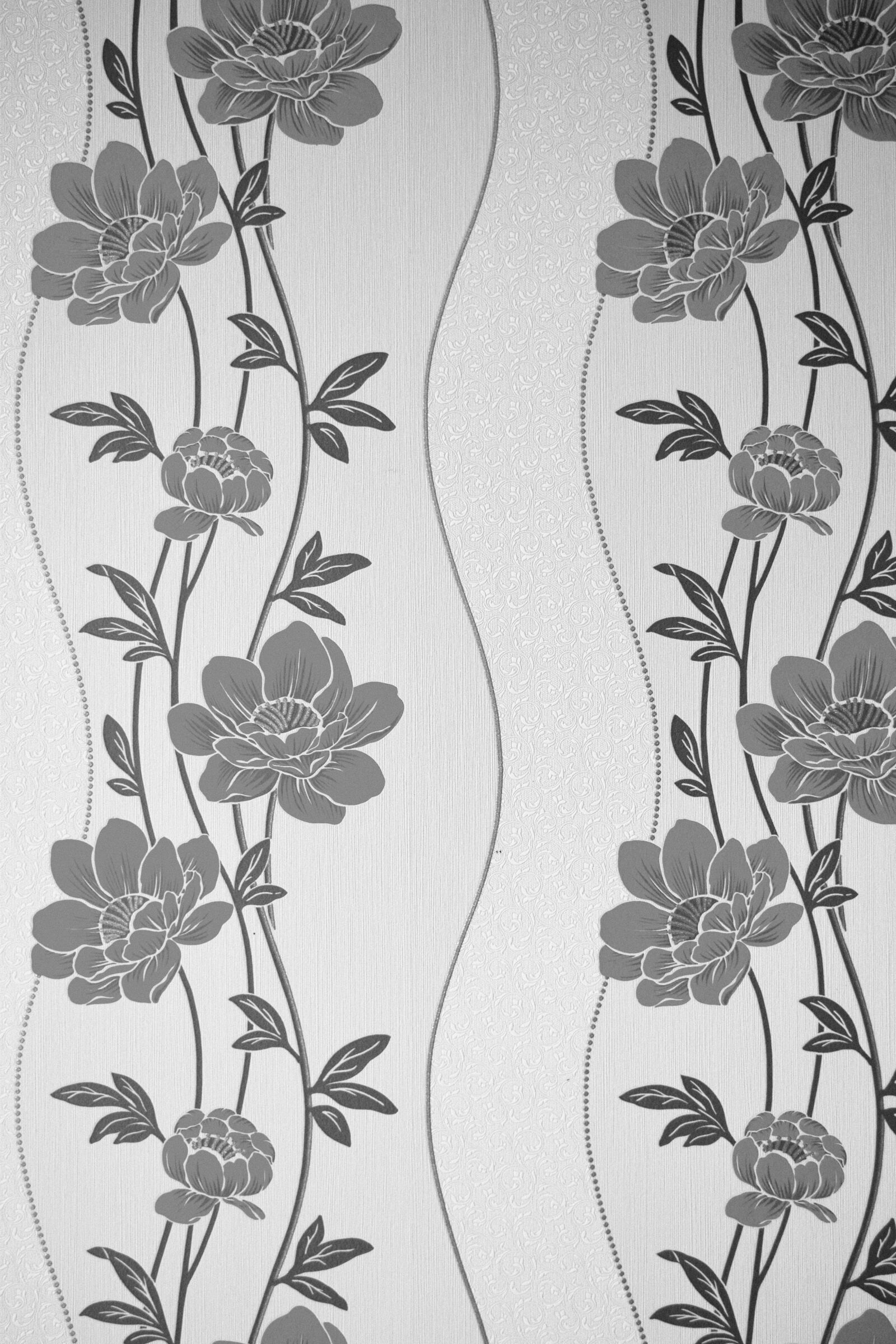Nikon D5200 sample photo. Black and white, floral photography