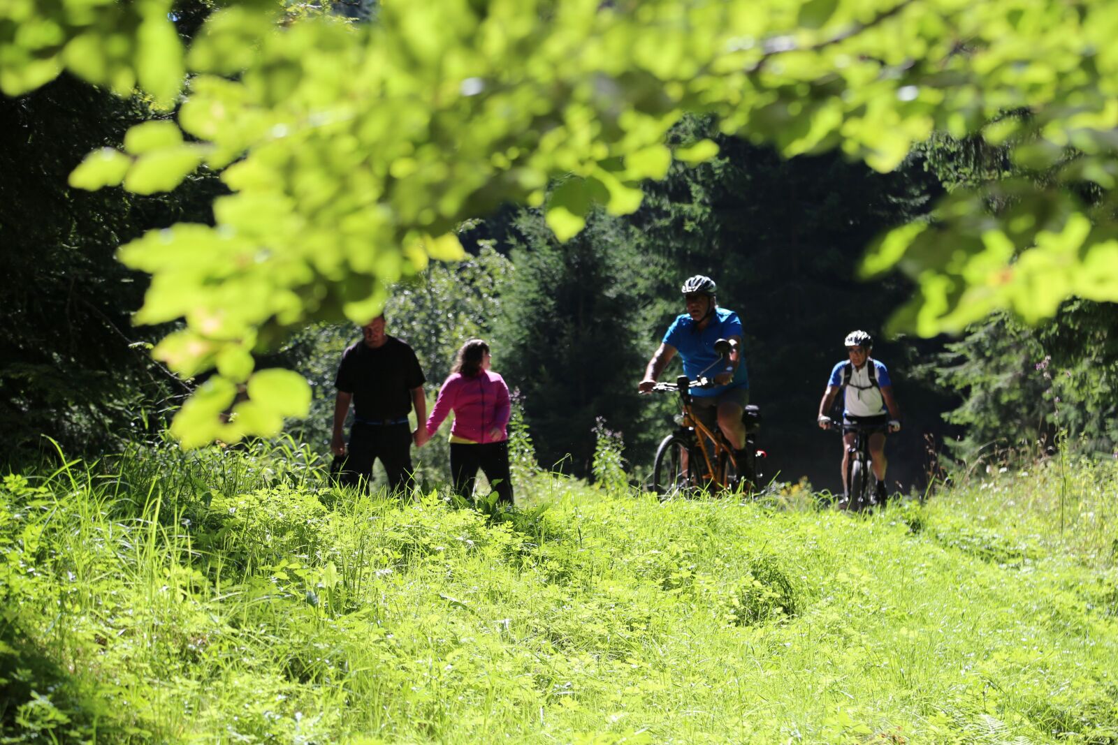 Canon EOS 6D + Canon EF 24-105mm F4L IS USM sample photo. Cycling, cyclists, lipno photography