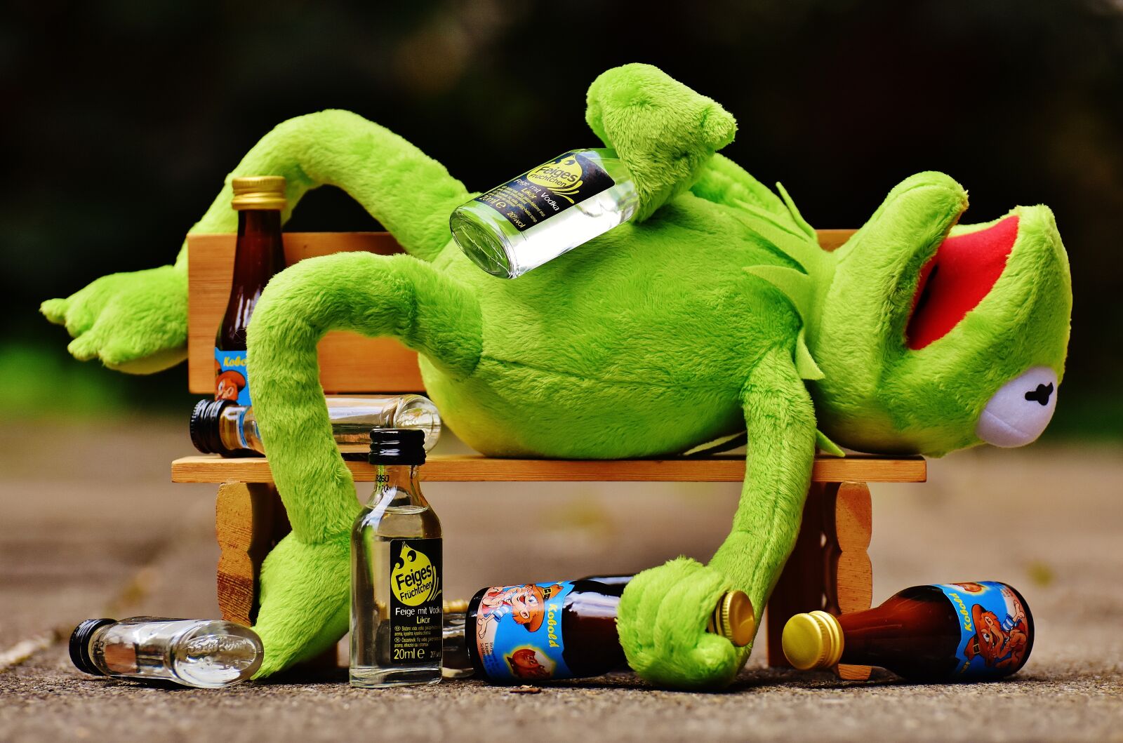 Nikon D7200 sample photo. Kermit, frog, drink photography