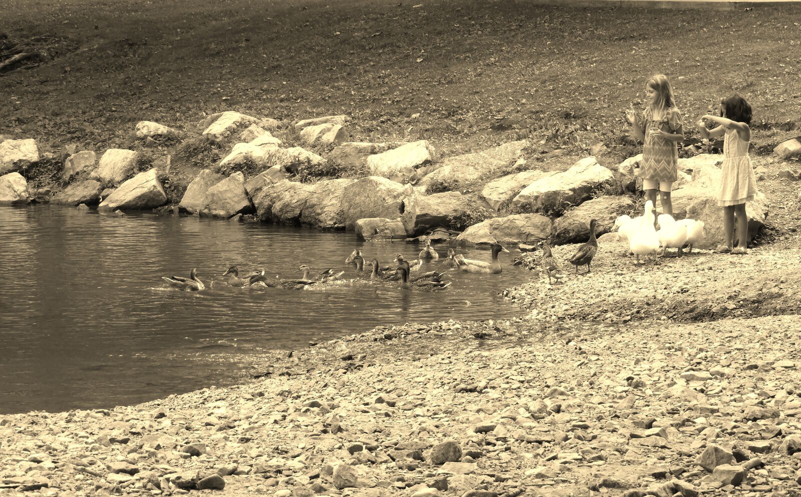 Nikon Coolpix B700 sample photo. Lake, geese, girls photography