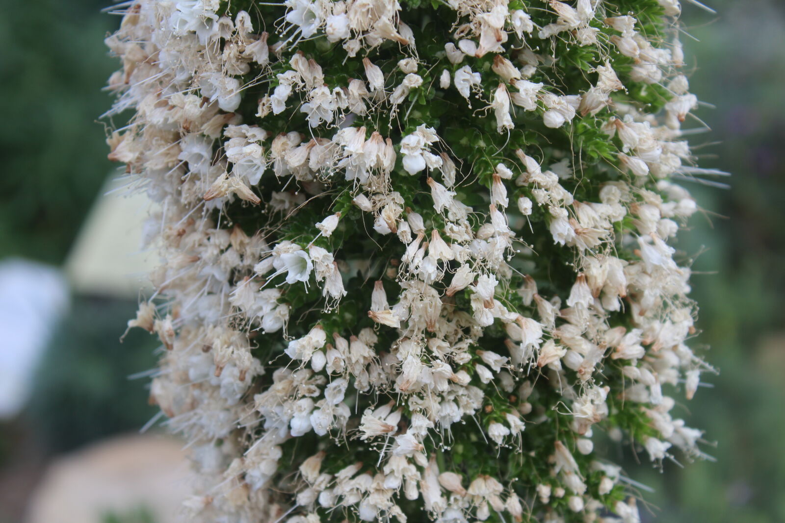 Canon EOS 1300D (EOS Rebel T6 / EOS Kiss X80) sample photo