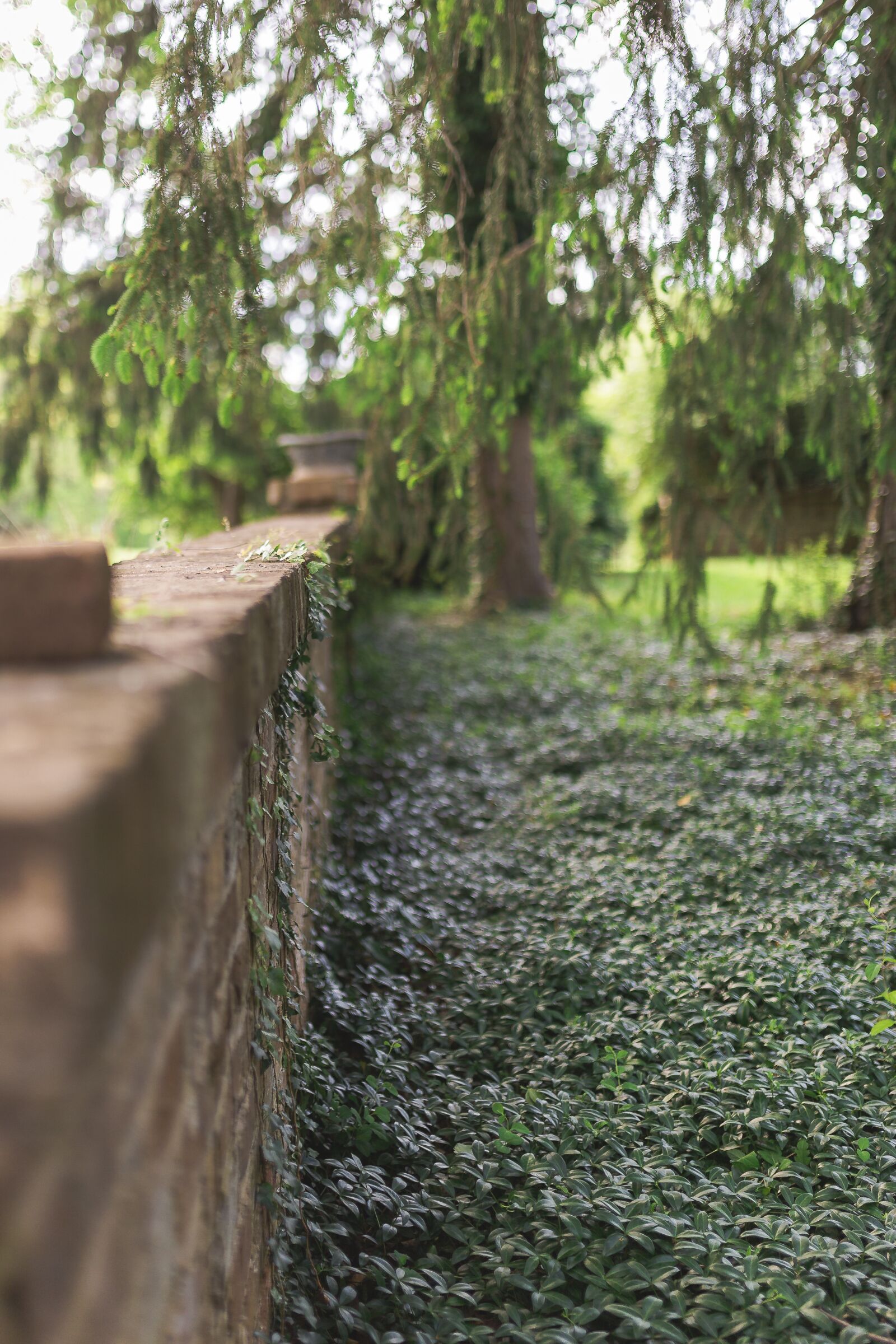 Sigma 35mm F1.4 DG HSM Art sample photo. Garden, brick, architecture photography