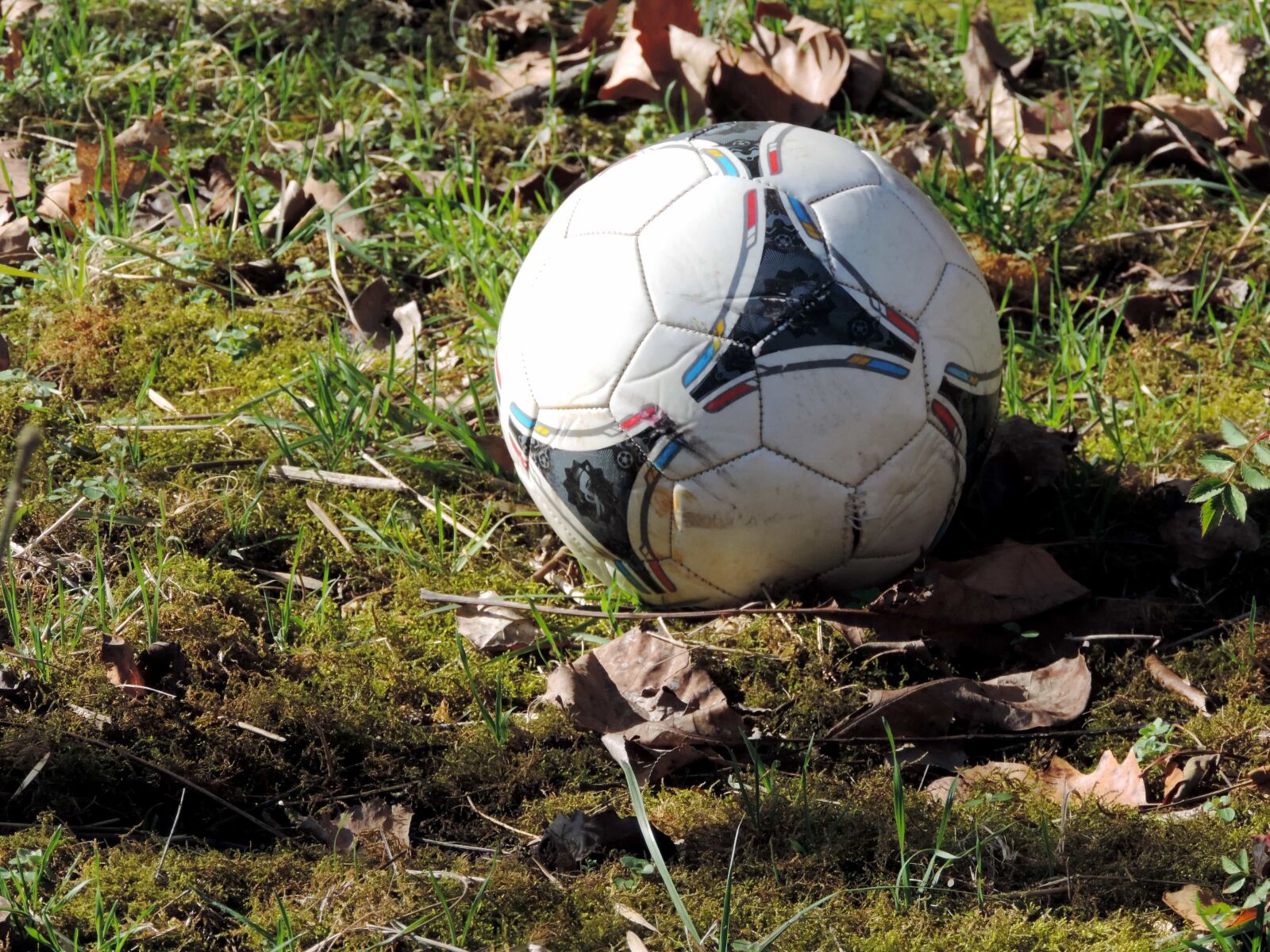 Nikon Coolpix P520 sample photo. Championship, sport, competition, football photography