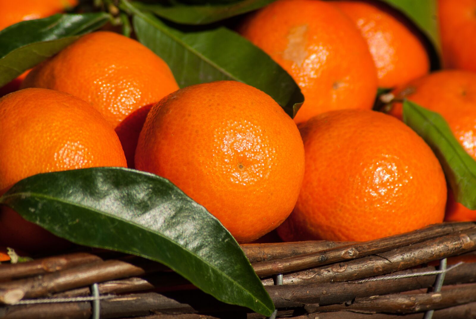 Tamron AF 70-300mm F4-5.6 Di LD Macro sample photo. Fruit, clementines, citrus photography