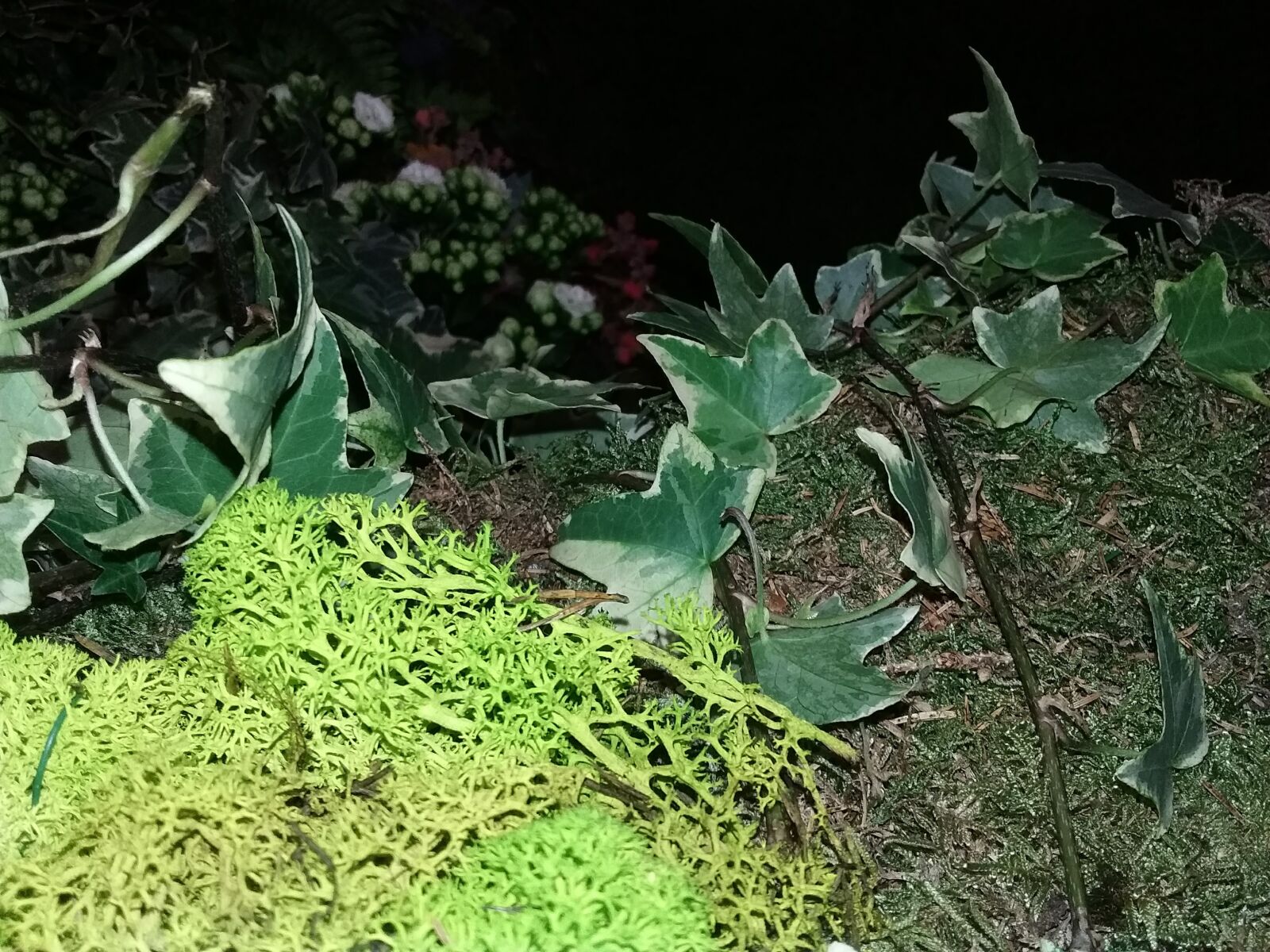 Samsung Galaxy J3(2016) sample photo