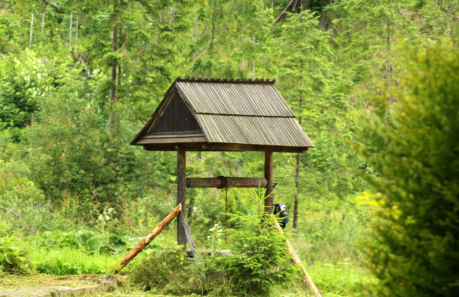 Canon EOS 1200D (EOS Rebel T5 / EOS Kiss X70 / EOS Hi) sample photo. Well, old, wood photography