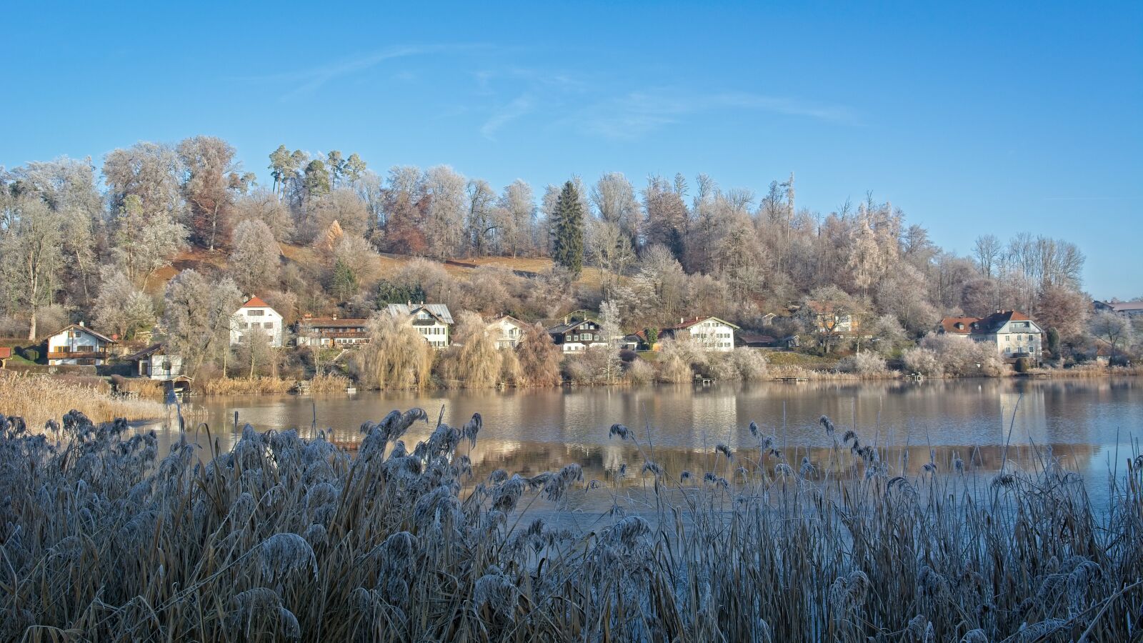 Nikon D7100 sample photo. Winter, frost, cold photography