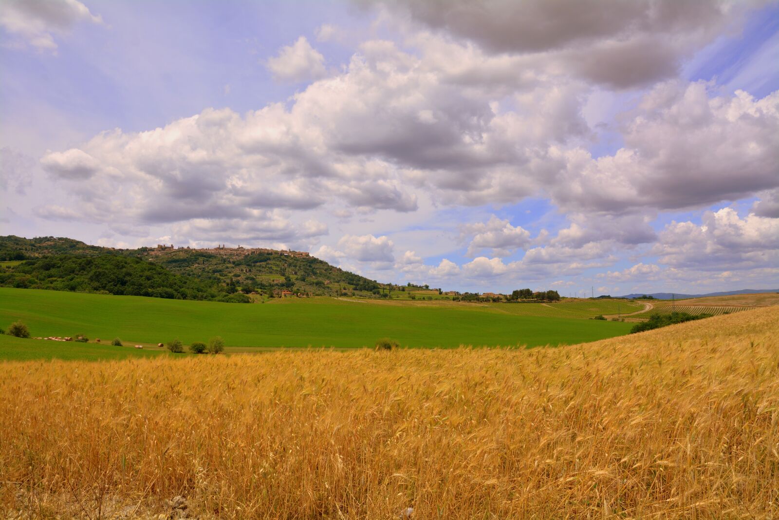 Nikon D7100 sample photo. Wheat, field, agriculture photography