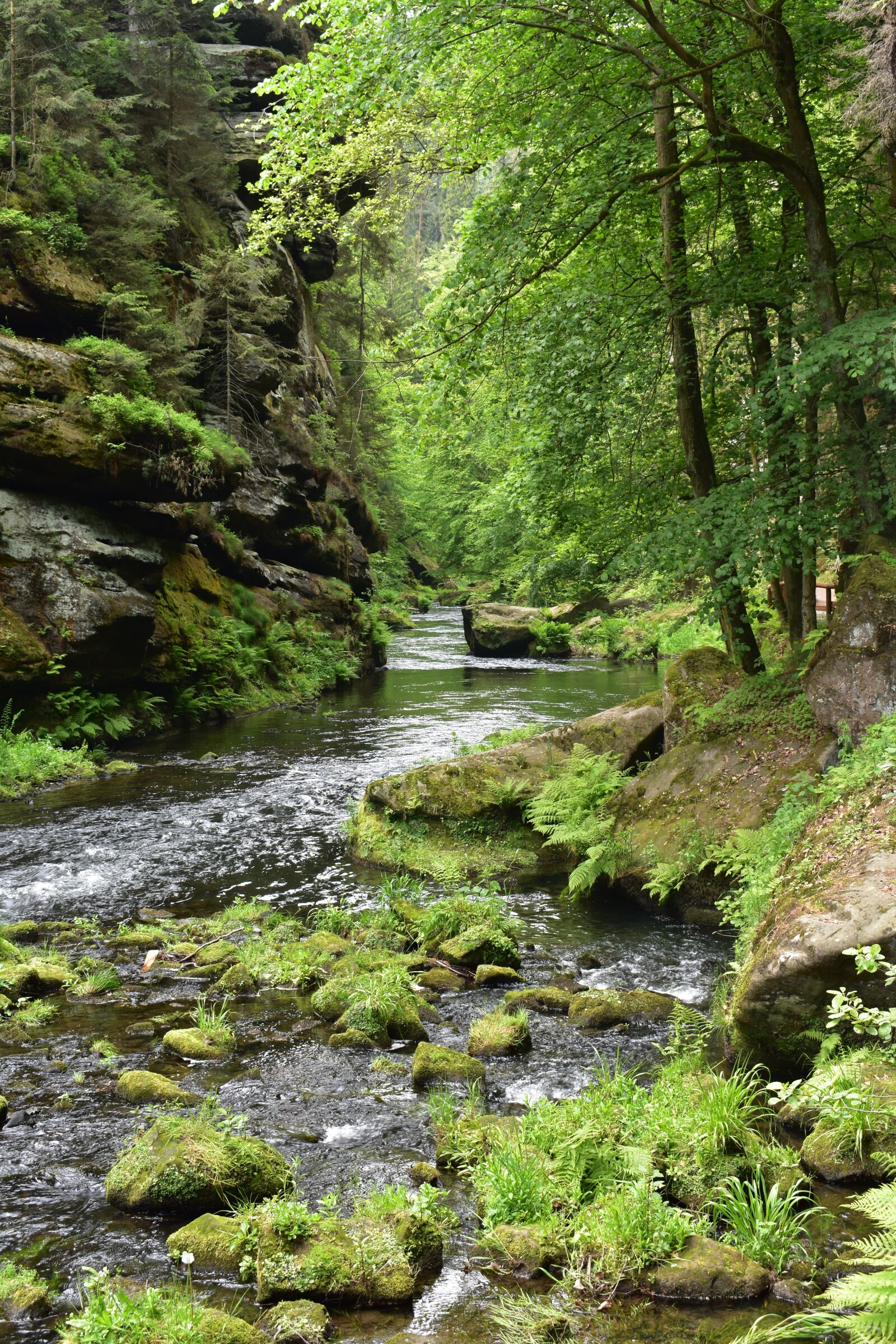 Nikon D3400 sample photo. Water, forest, nature photography
