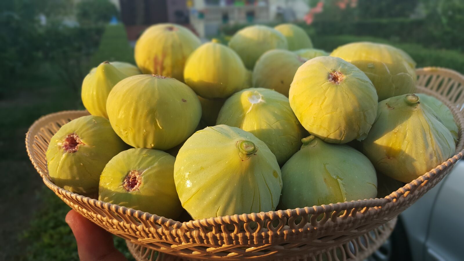 Samsung Galaxy Note5 sample photo. Figs, fruit, bio photography