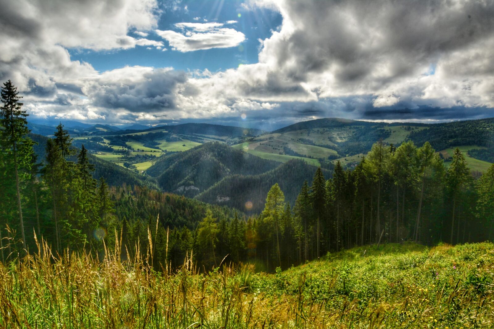 Nikon D5200 sample photo. Traveling, nature, summer photography