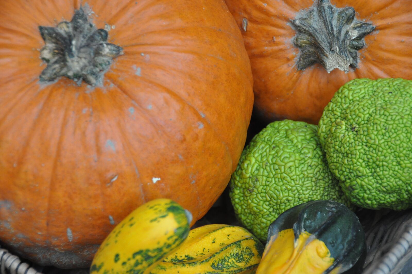 Nikon D90 sample photo. Autumn, pumpkin, october photography