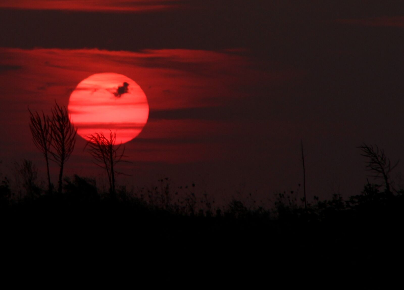 Canon EOS 700D (EOS Rebel T5i / EOS Kiss X7i) sample photo. Sunset, sky, cloud photography