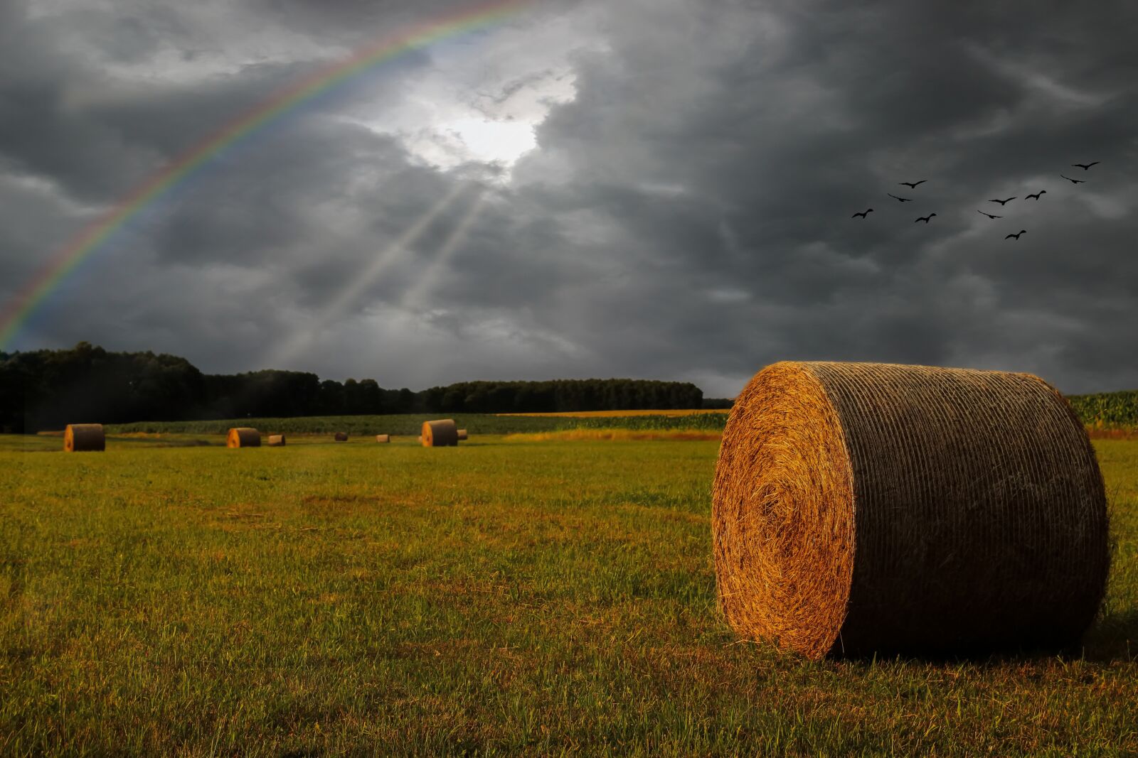 Canon EOS 600D (Rebel EOS T3i / EOS Kiss X5) sample photo. Field, straw bales, thunderstorm photography
