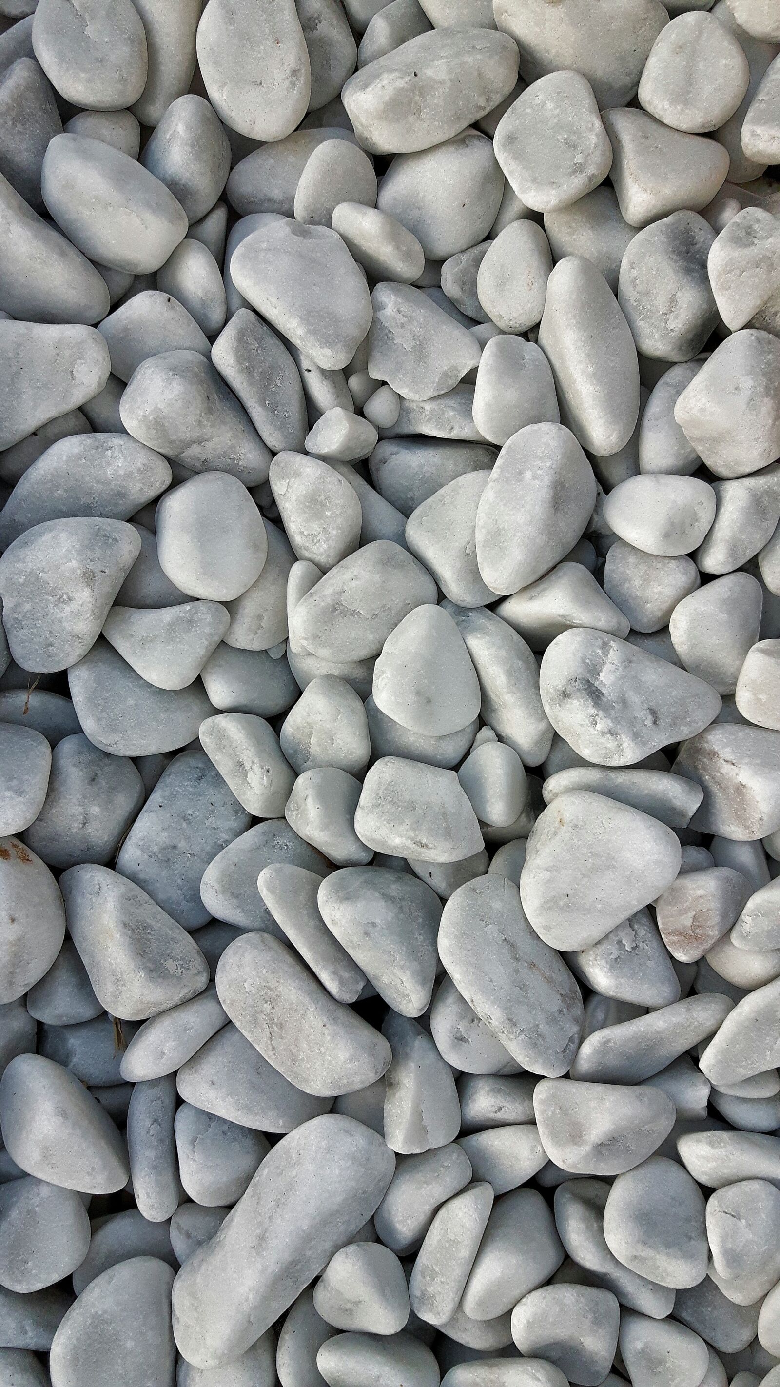 Samsung Galaxy S5 Neo sample photo. Sassi, fossils, rocks photography