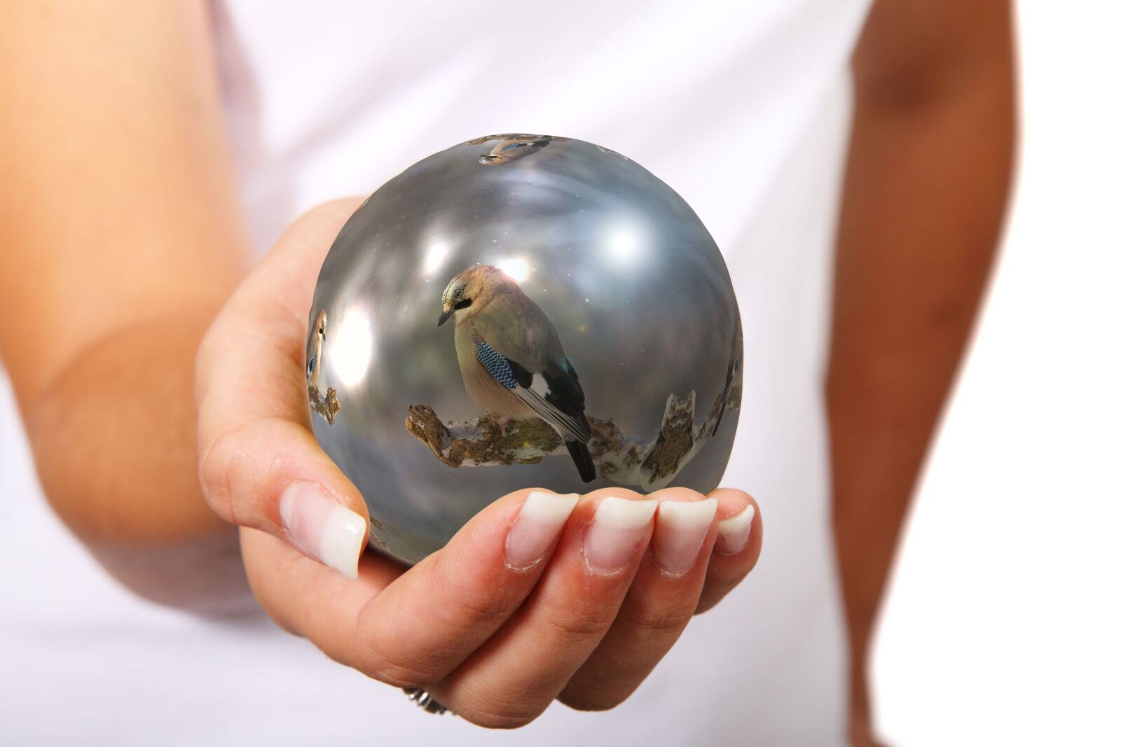 Canon EOS 50D sample photo. Hand, woman, bird photography