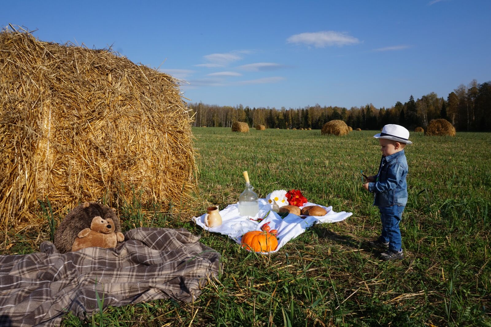 Sony Alpha a5000 (ILCE 5000) sample photo. Field, hay, nature photography