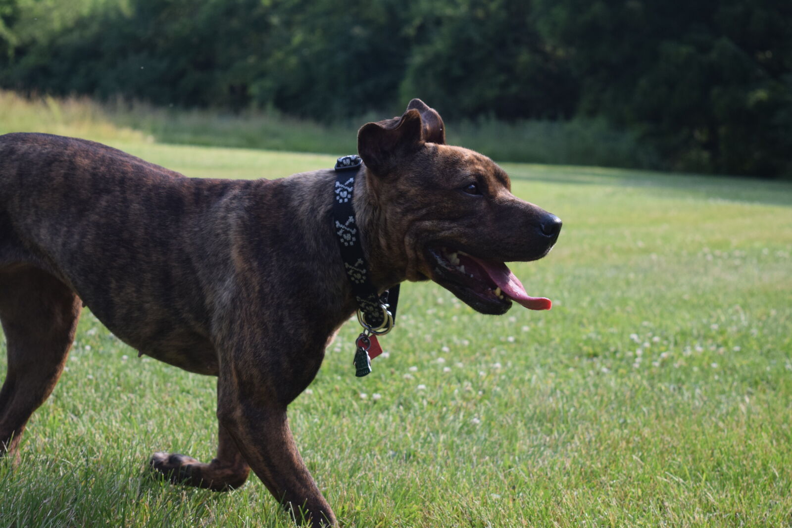 Nikon D3300 sample photo