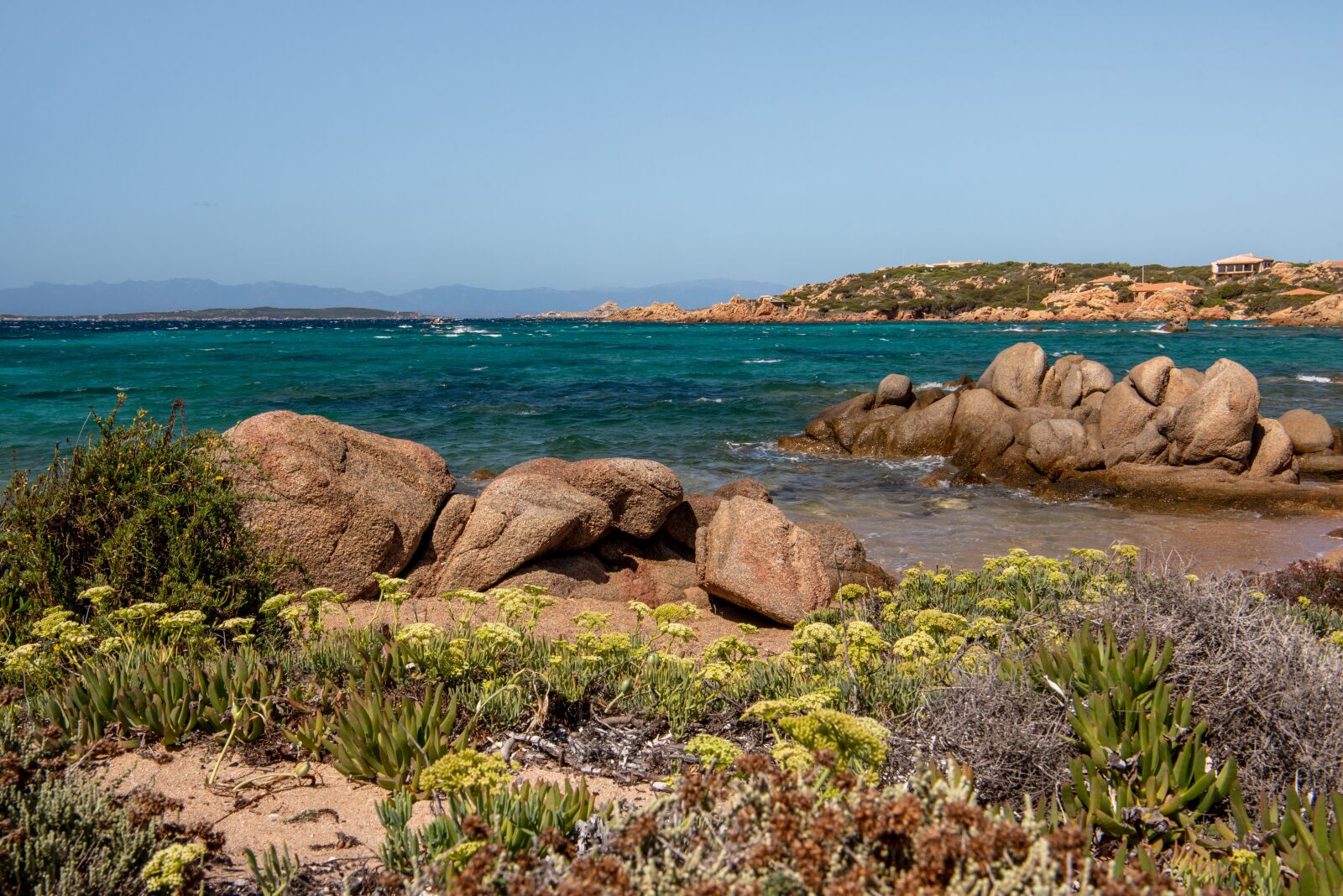 Nikon D750 sample photo. La maddalena, sardinia, italy photography