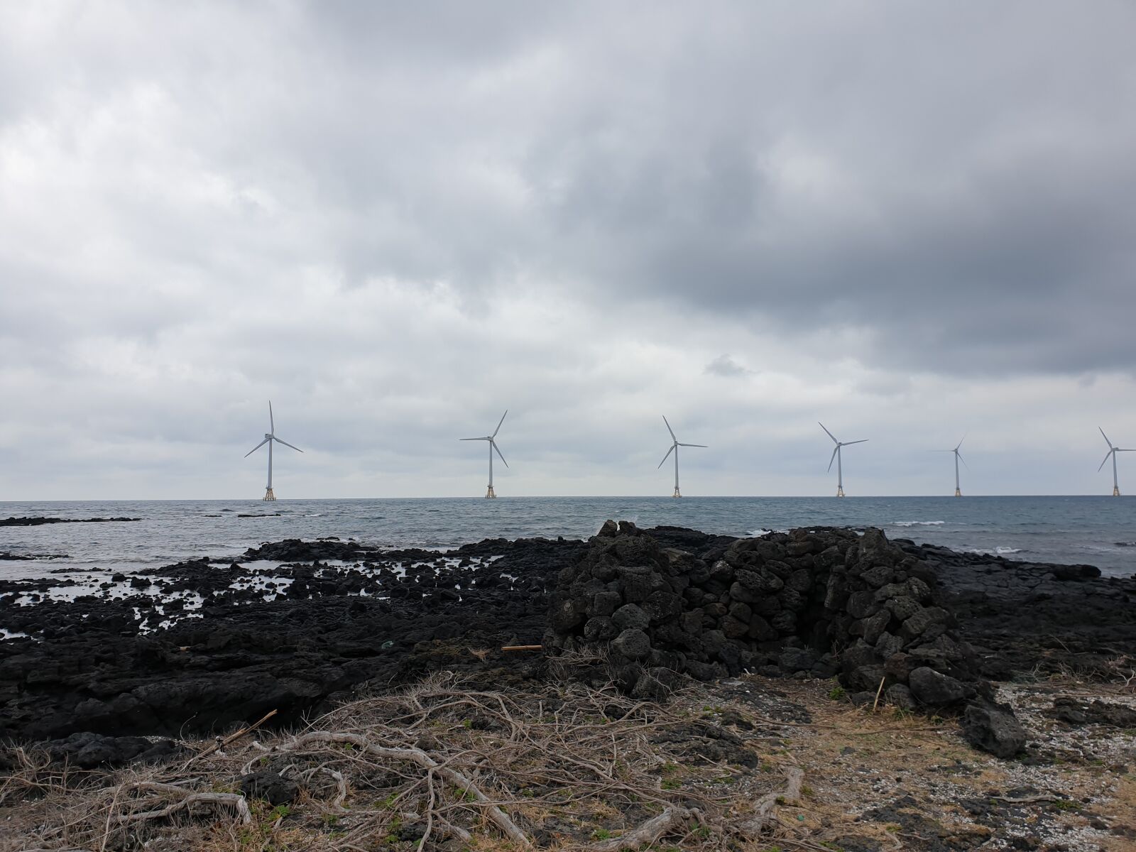 Samsung Galaxy Note9 sample photo. Jeju island, basalt, seogwipo photography