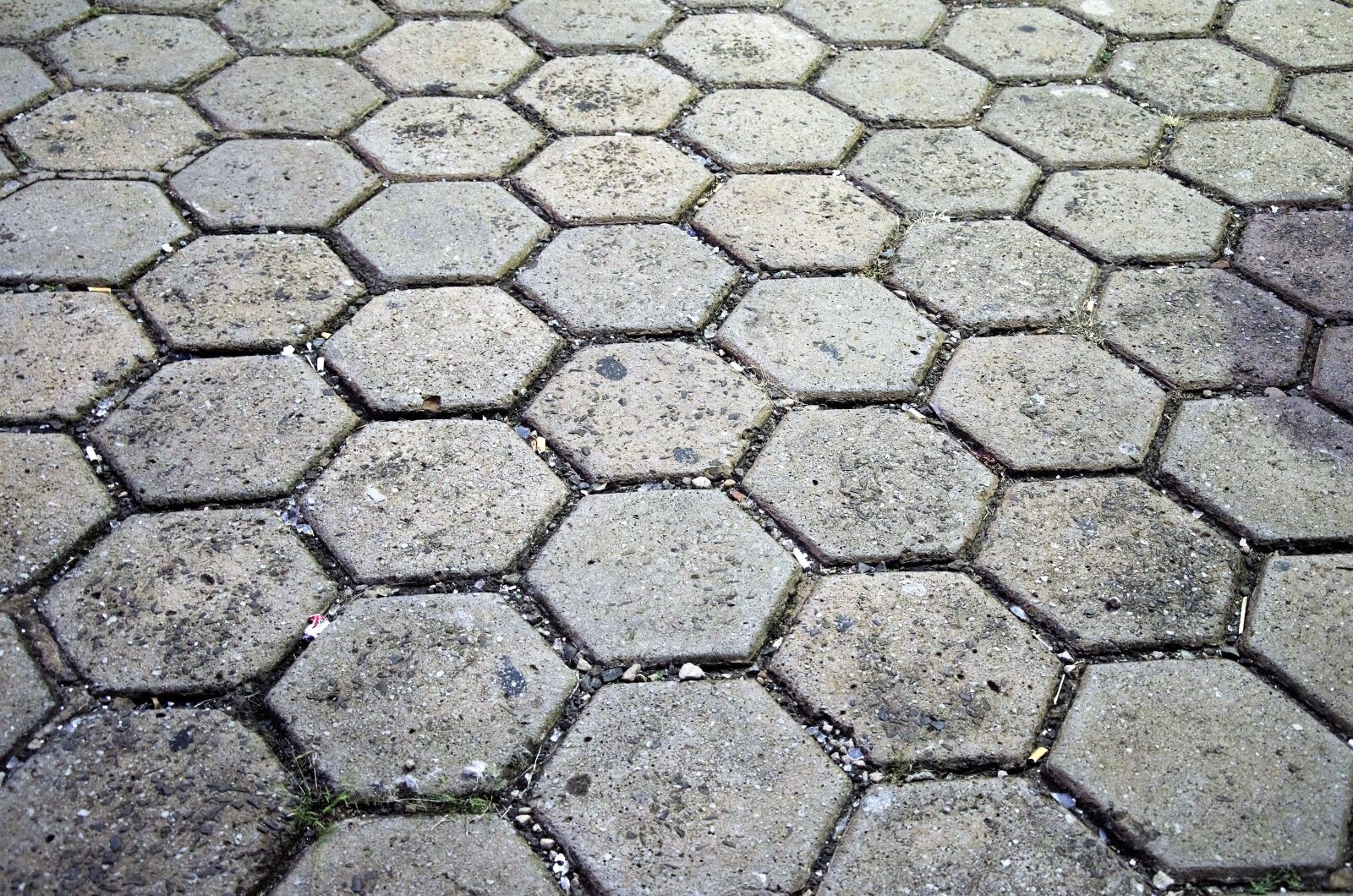 Nikon D5100 sample photo. Ground, floor, sidewalk photography