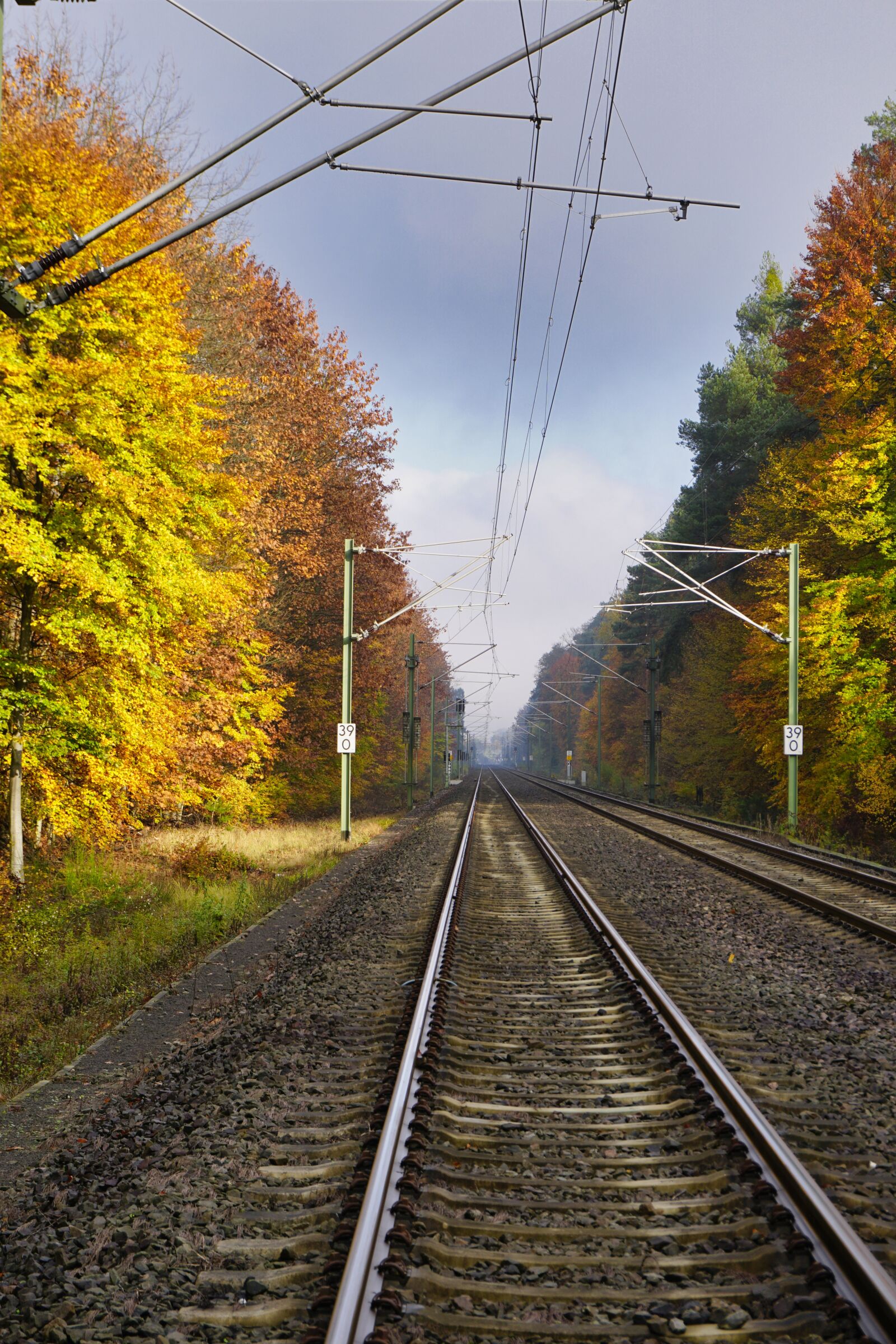 Sony a6500 + Sony E 16-50mm F3.5-5.6 PZ OSS sample photo. Autumn, forest, rails photography