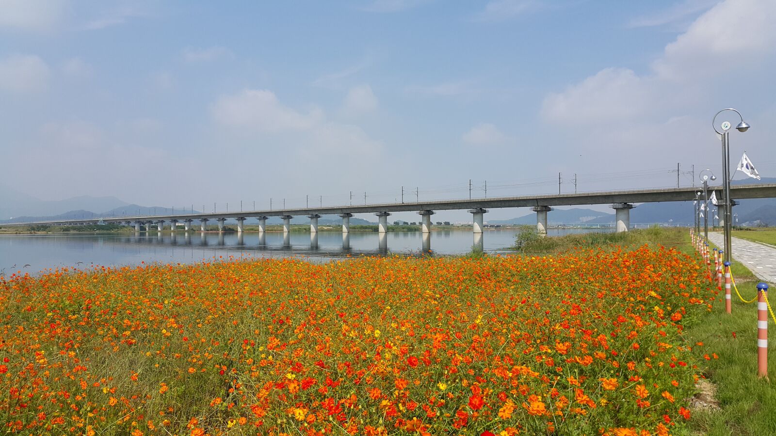 Samsung Galaxy Note4 sample photo. Nakdong river, ktx, flowers photography