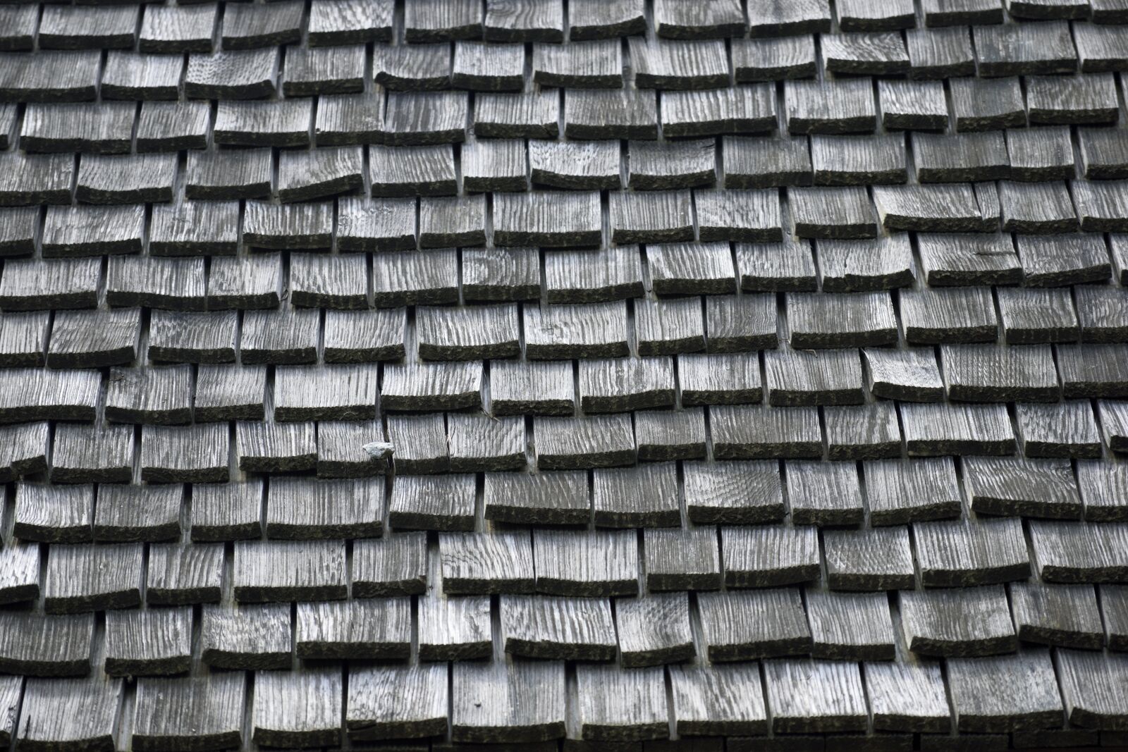 Nikon D3300 sample photo. Wood, shingles, roof photography