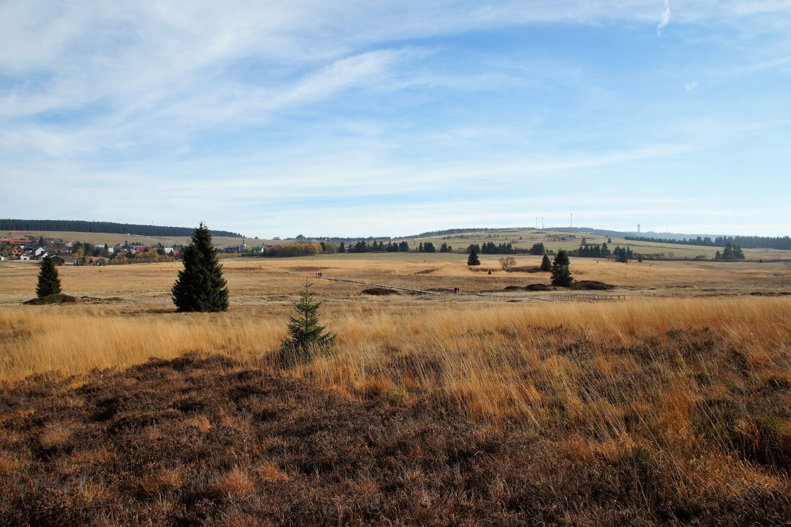 Sony SLT-A58 sample photo. God's gift, bo darsk photography