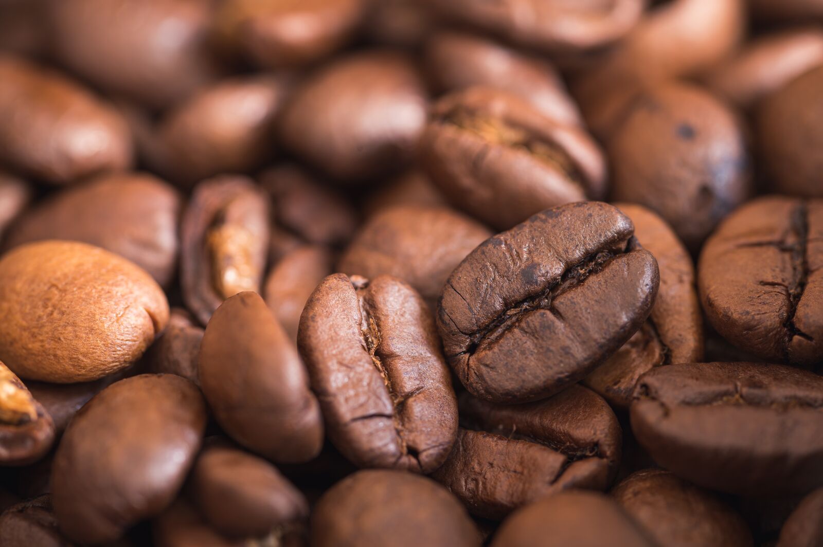 Nikon Z6 sample photo. Coffee, coffee beans, cafe photography