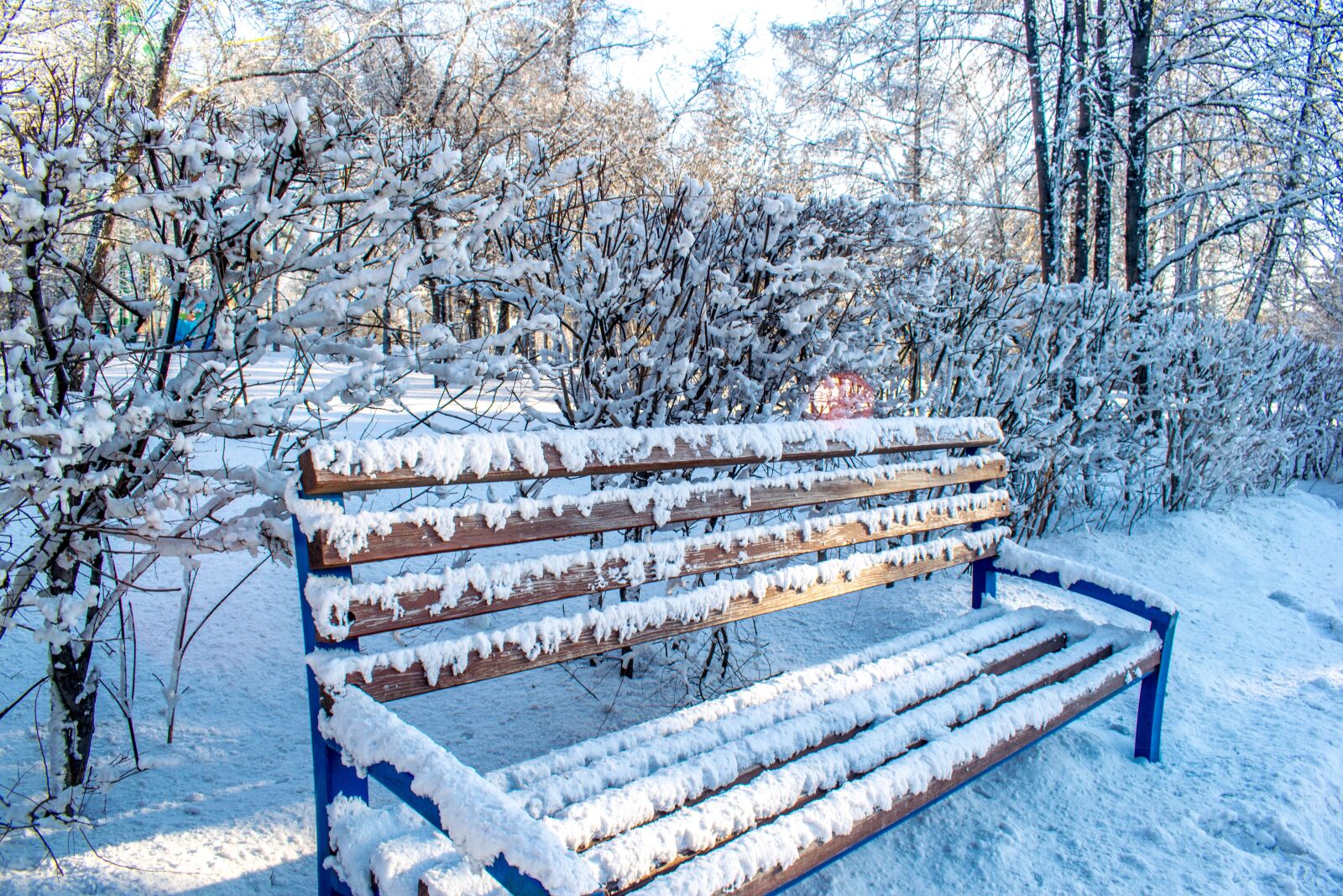 Nikon D3300 sample photo. Winter, snow, coldly photography