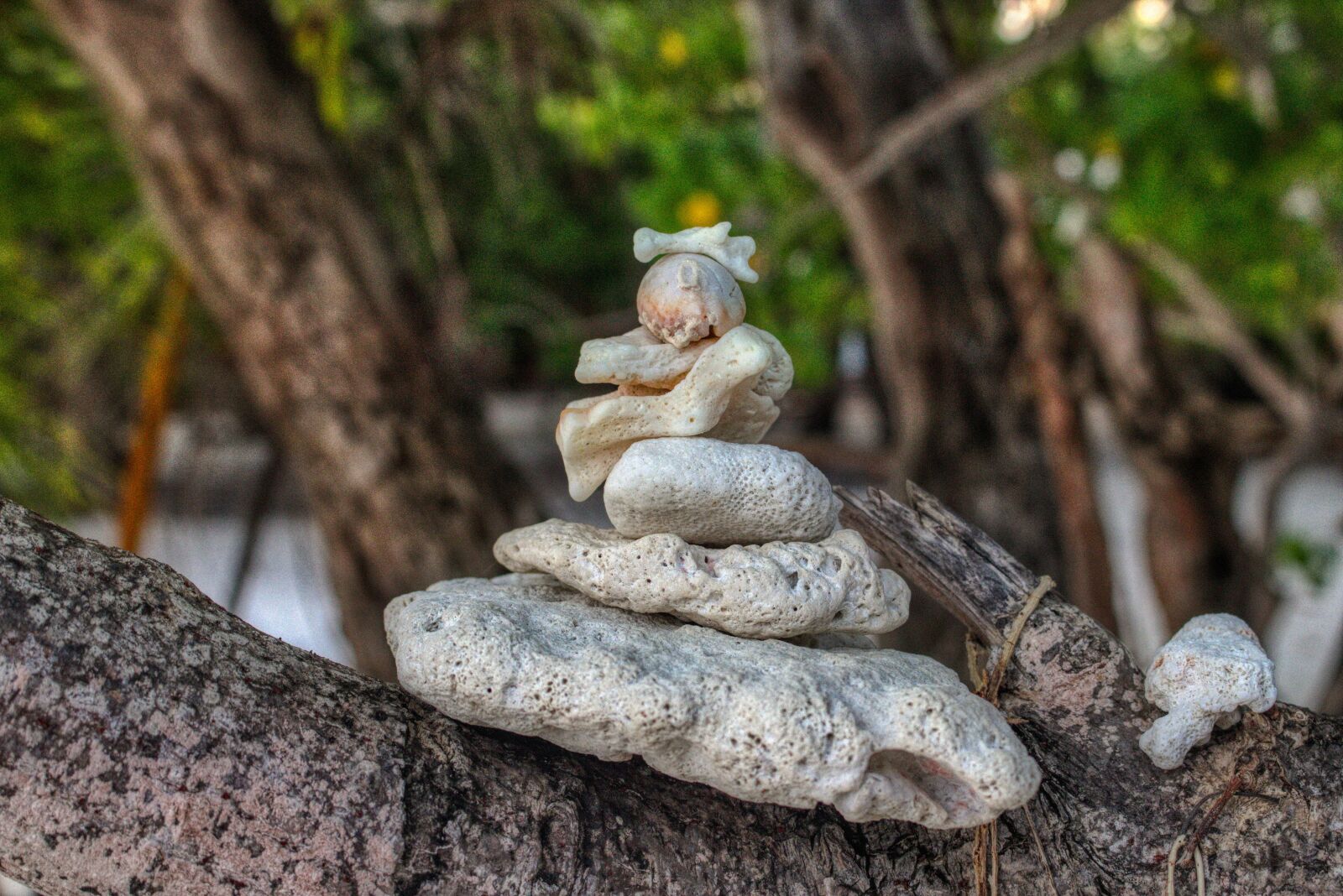 Canon EOS 750D (EOS Rebel T6i / EOS Kiss X8i) sample photo. Zen, harmony, wellness photography