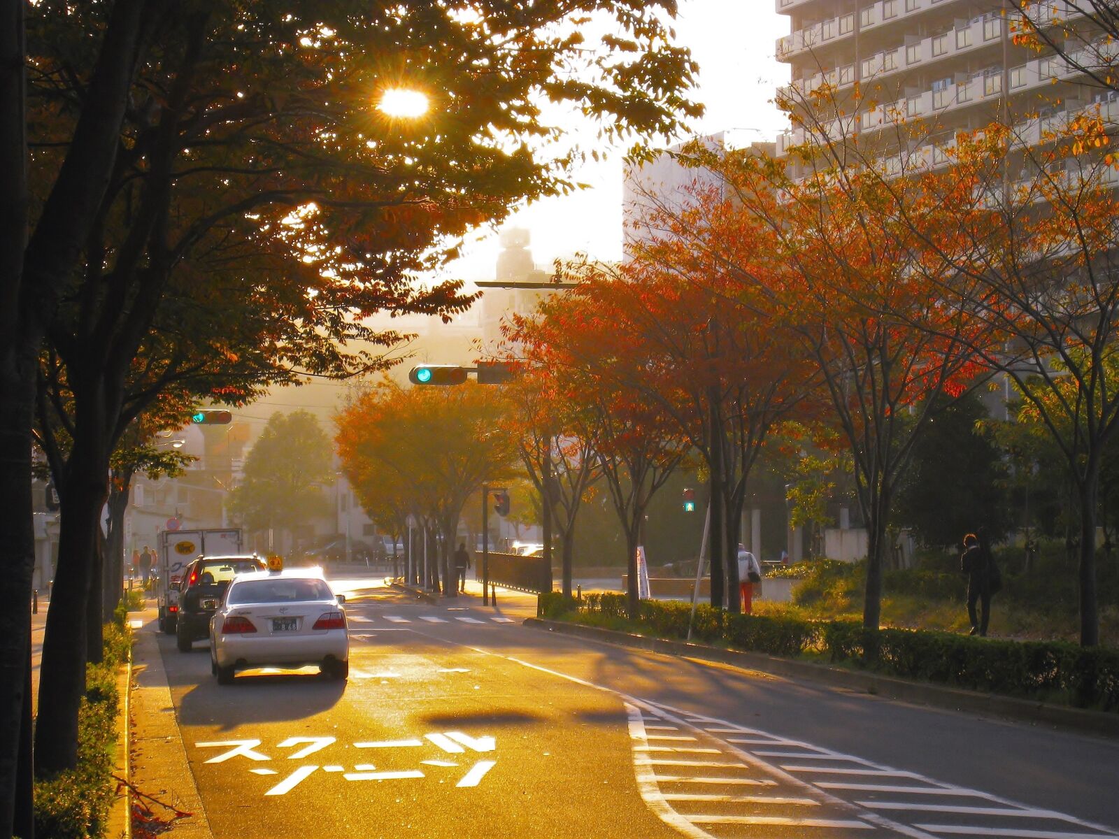 Canon IXY DIGITAL 910 IS sample photo. Autumn, sunset, autumnal leaves photography