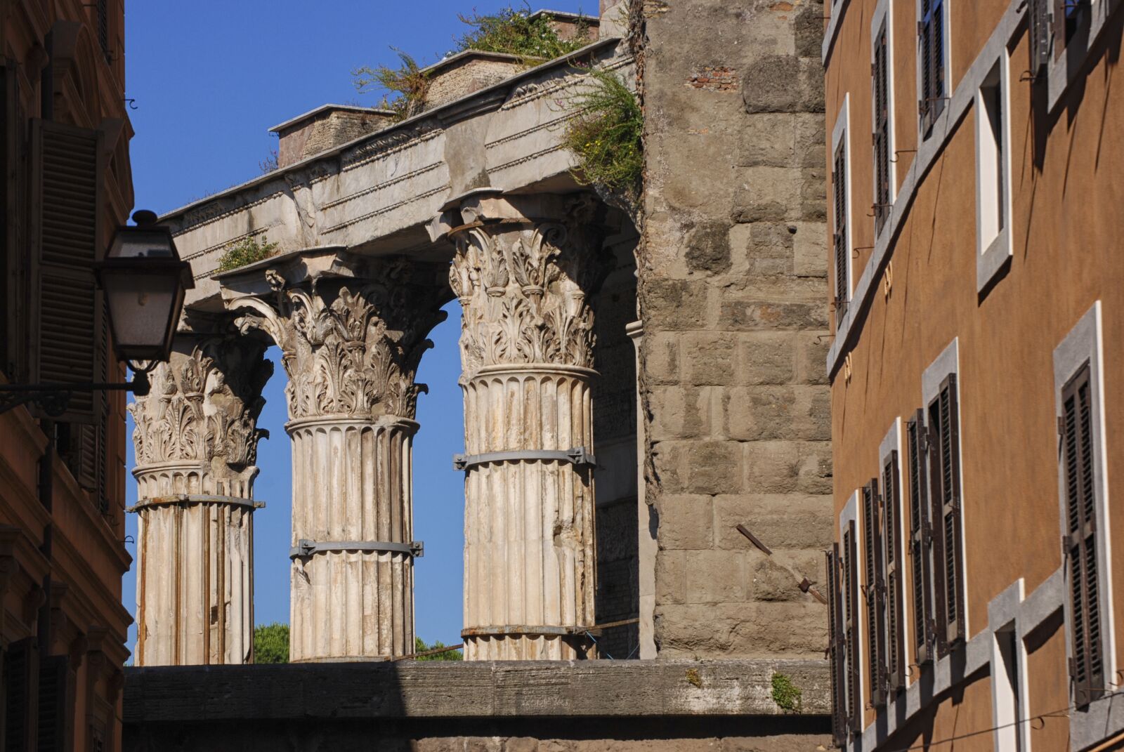 Nikon D80 sample photo. Roma, italy, roman columns photography