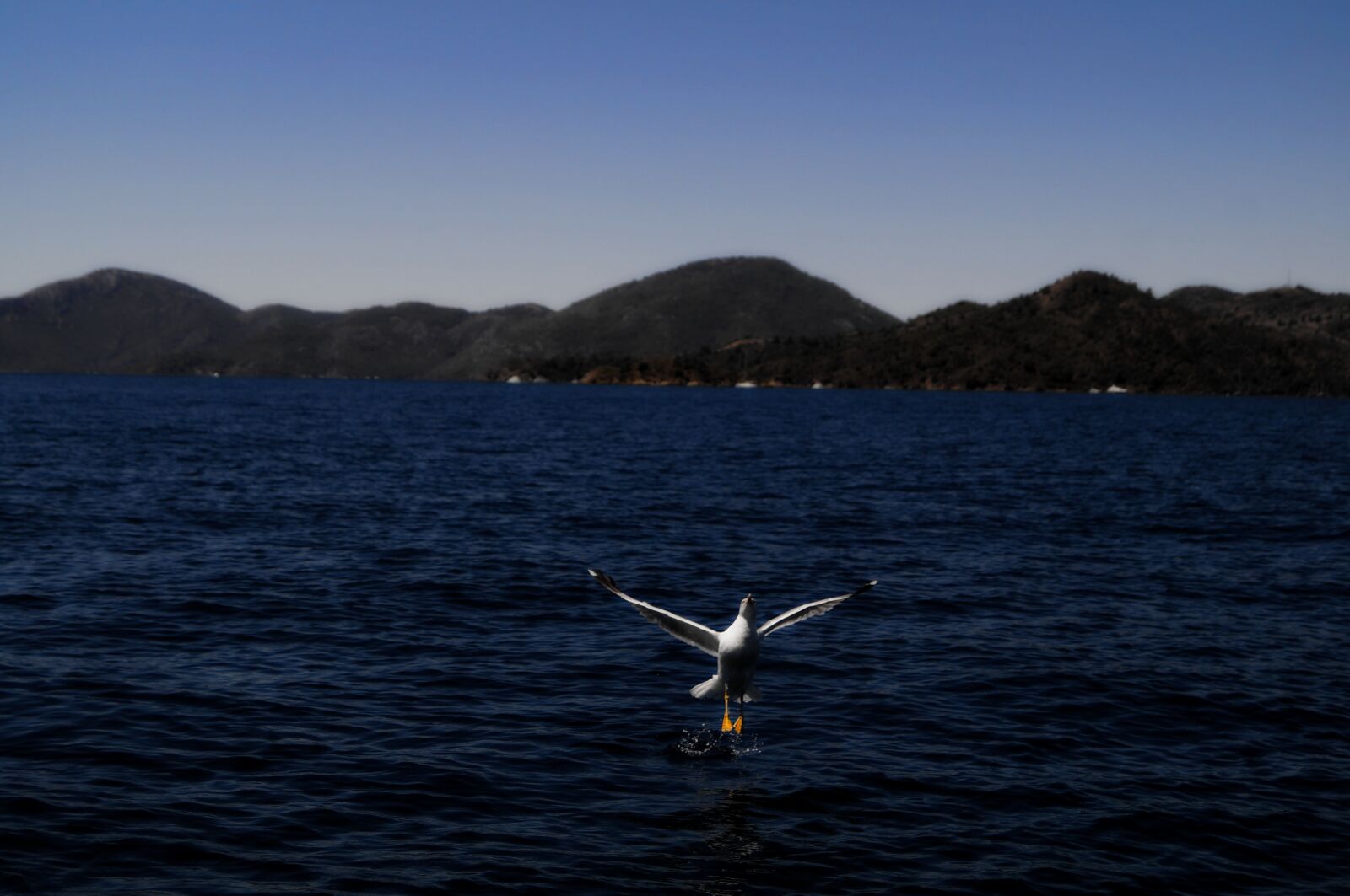 Sony SLT-A37 sample photo. Gocek, boat, type photography