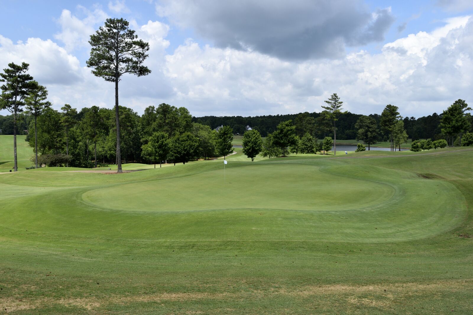 Nikon D3300 sample photo. Golf, grass, course photography