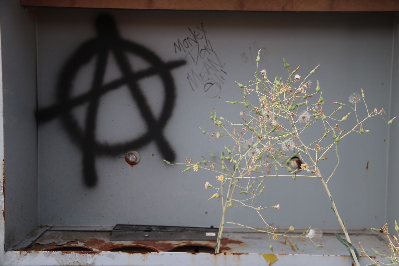 Canon EOS 750D (EOS Rebel T6i / EOS Kiss X8i) sample photo. Urban, old, graffiti photography