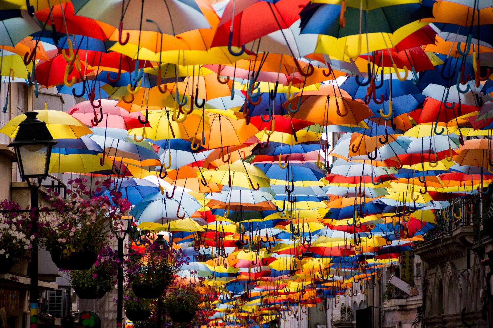 Canon EOS 60D sample photo. Umbrellas, colors, street photography