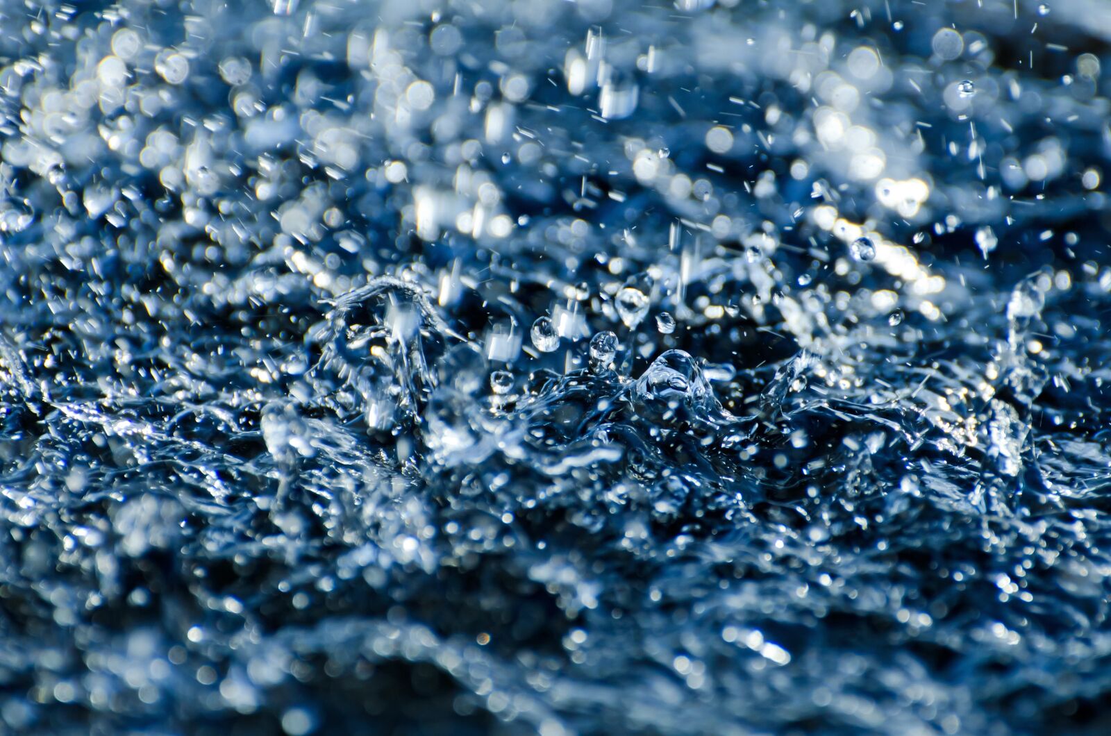 Nikon D5100 sample photo. Rain, drops, macro, photography photography