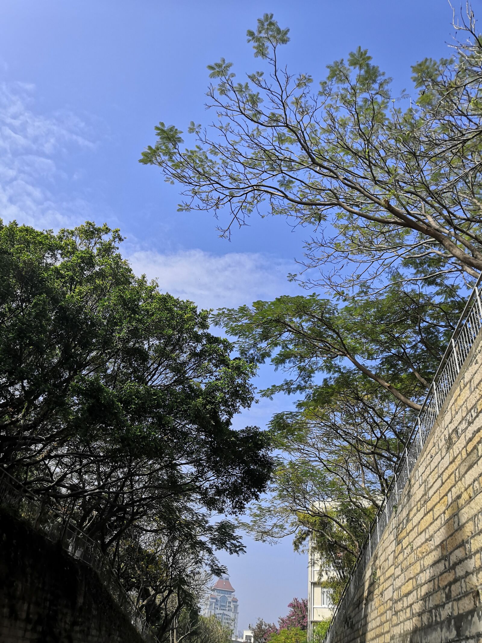 HUAWEI nova 3 sample photo. Xiamen, blue sky, trees photography
