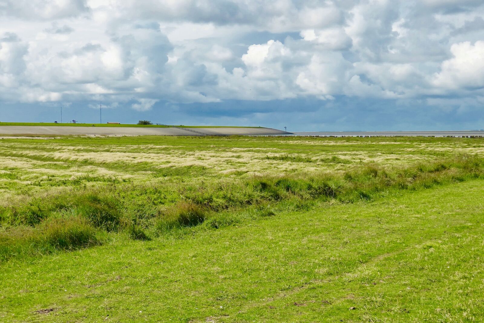 Panasonic Lumix DMC-FZ150 sample photo. North sea, dike, summer photography