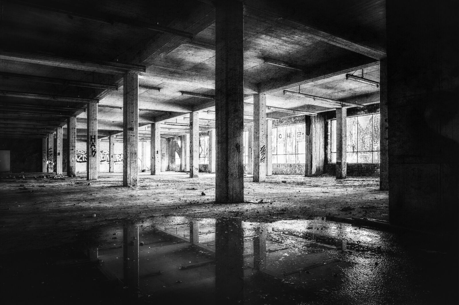 Nikon Z6 sample photo. Hall, columnar, empty photography