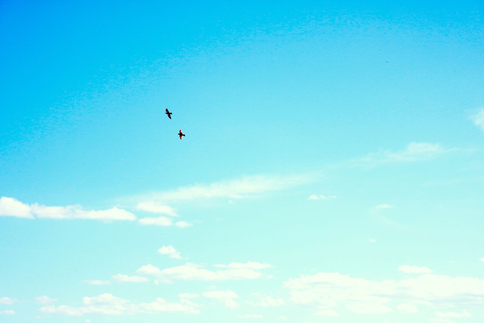 Canon EOS 750D (EOS Rebel T6i / EOS Kiss X8i) sample photo. Sky, birds, clouds photography