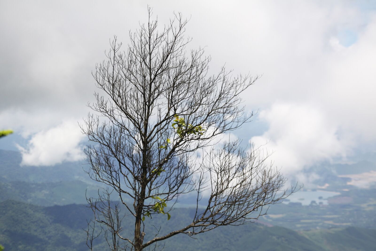 Canon EOS 50D sample photo. Mountains, tree, landscape photography