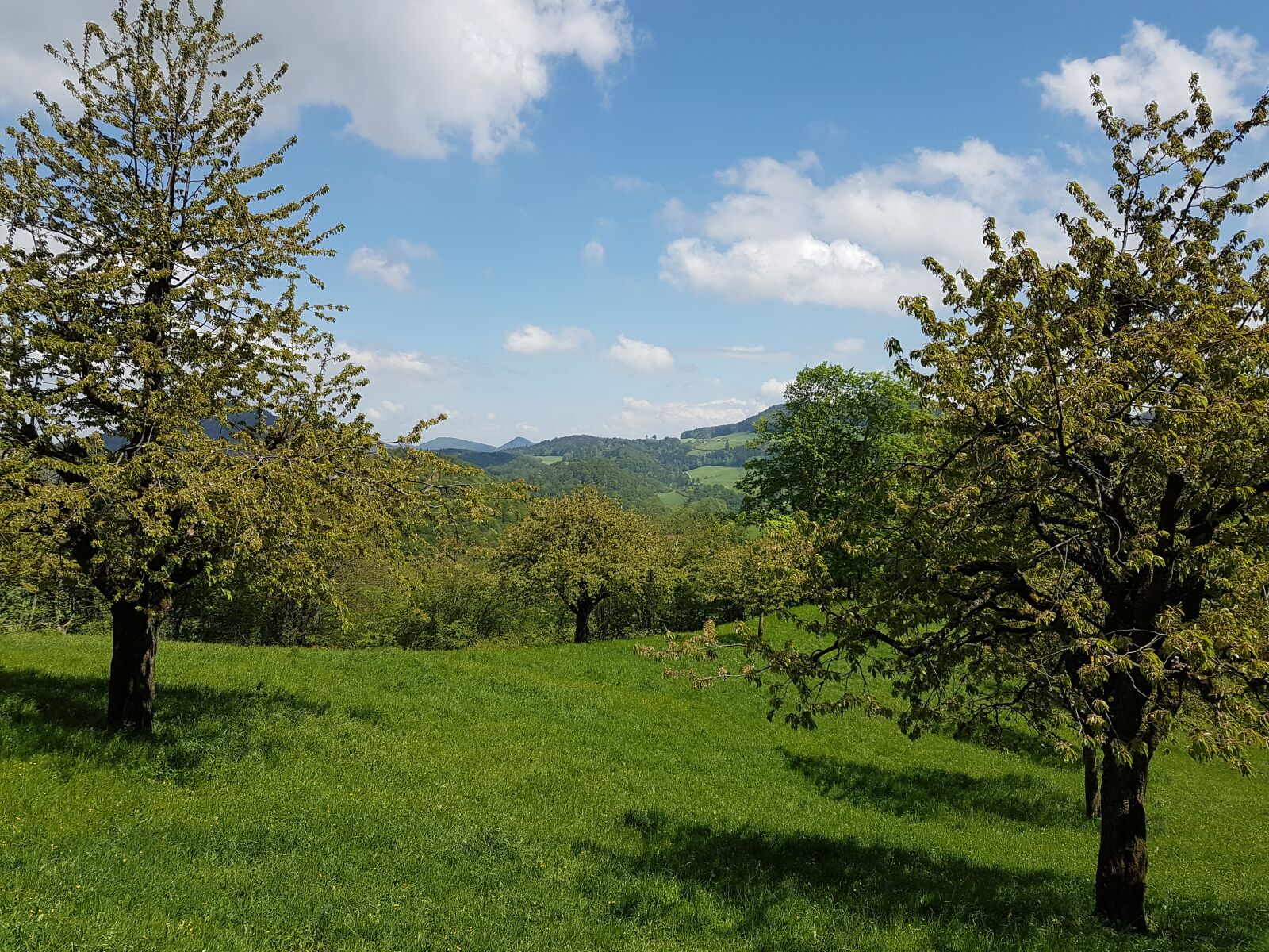 Samsung Galaxy S7 Edge sample photo. Switzerland, basel-land, eptingen photography