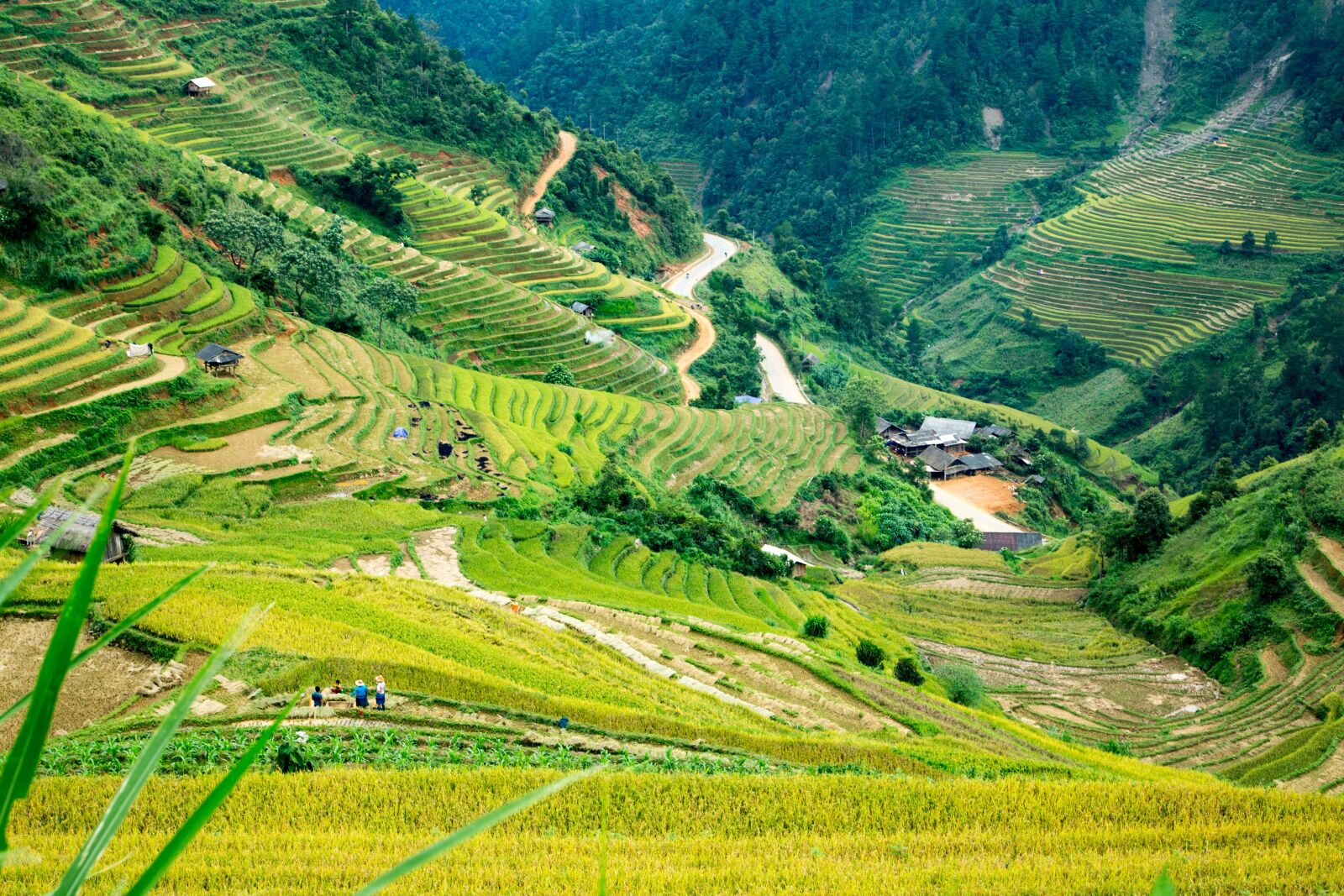 Canon EOS 6D + Canon EF 24-105mm F4L IS USM sample photo. Mucangchai, vietnam, mountain photography