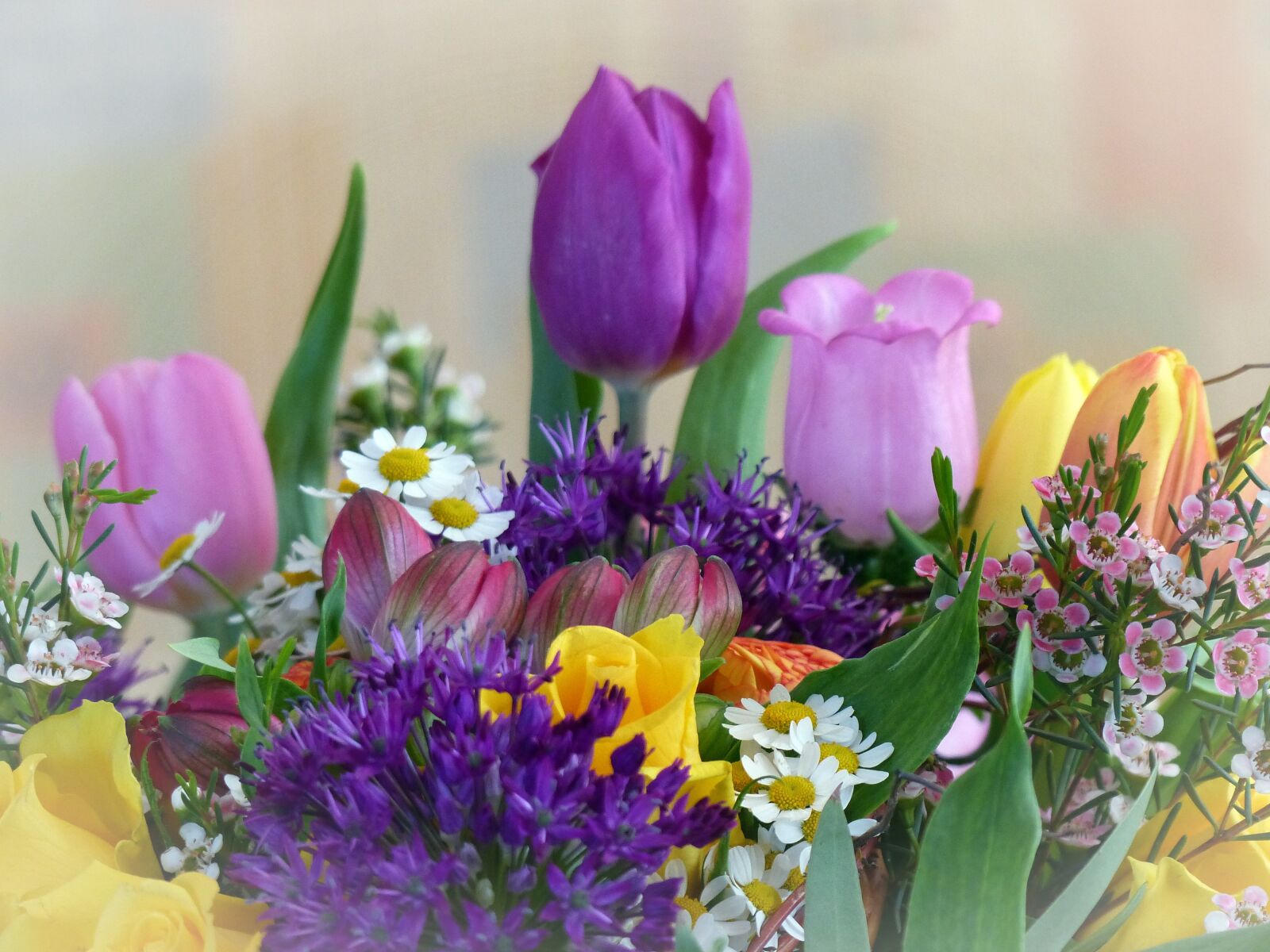 Panasonic Lumix DMC-FZ200 sample photo. Flowers, colorful, spring photography