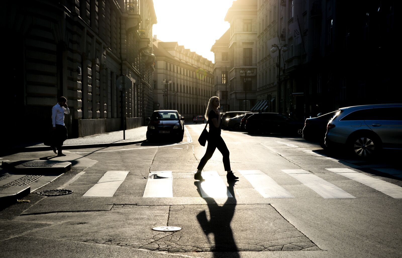 Nikon D610 sample photo. Zebra, path, traffic photography