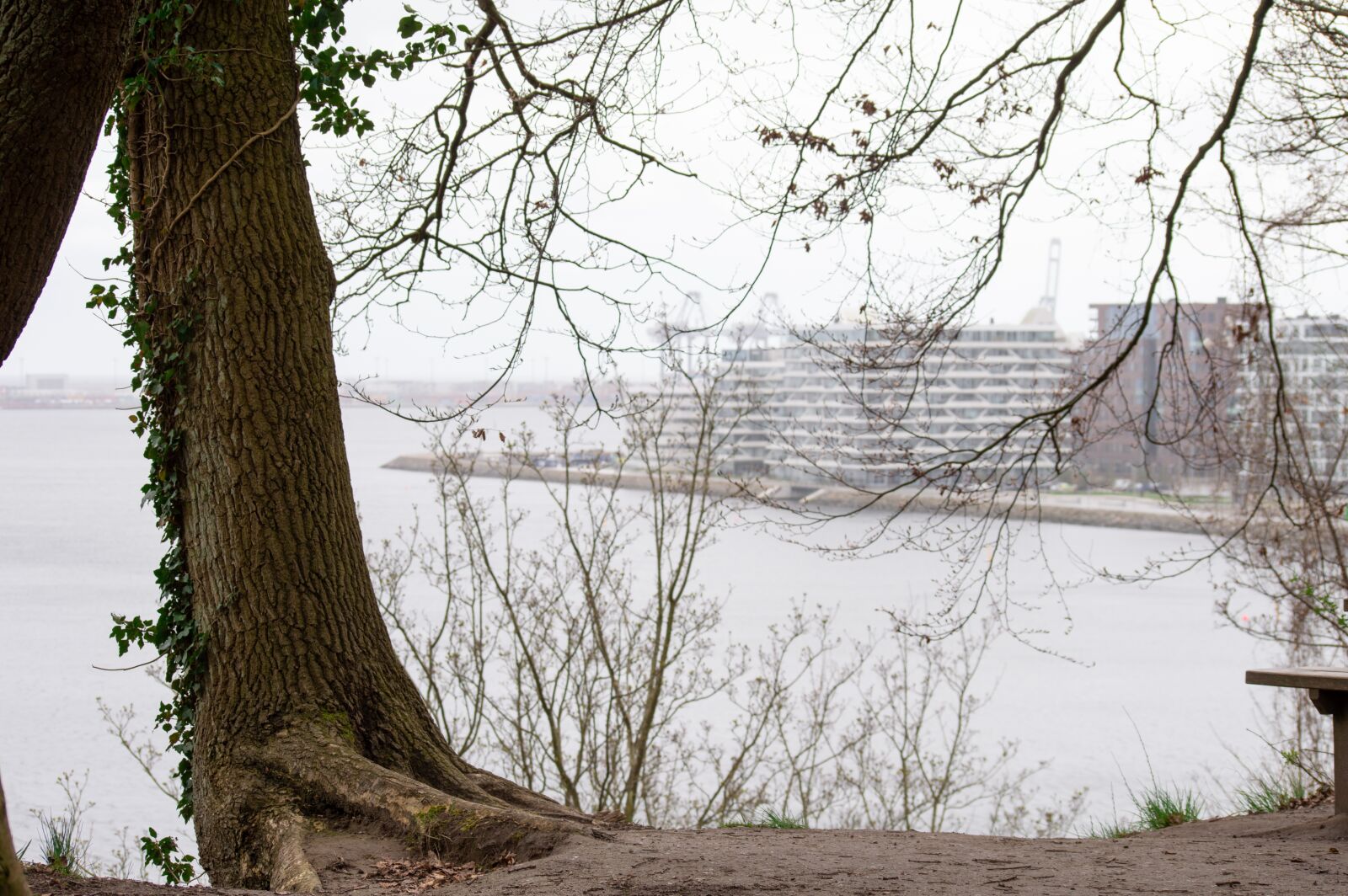 Nikon D3200 sample photo. Outside, århus, aarhus photography