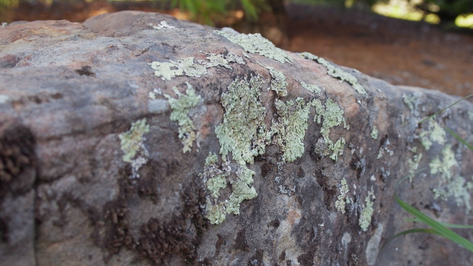 YI TECHNOLOGY M1 sample photo. Rock, stone, boulder photography